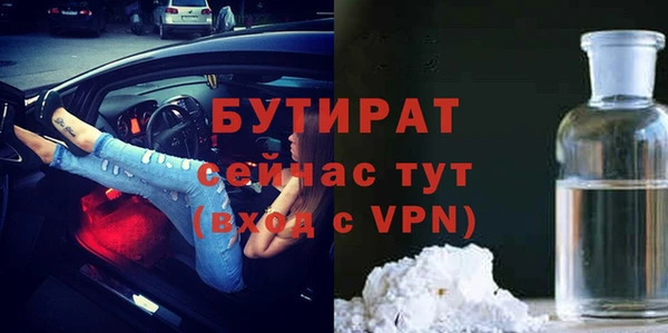 соль ск Ельня