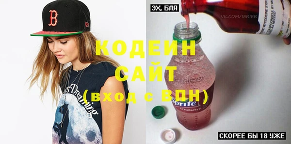 соль ск Ельня