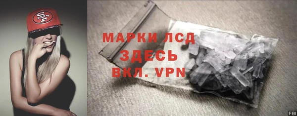 соль ск Ельня