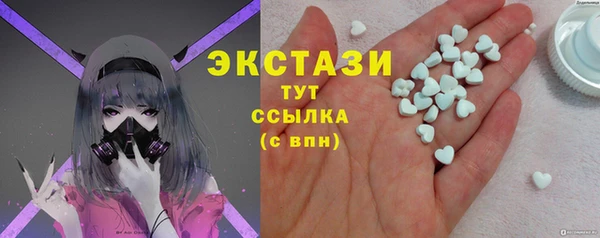 соль ск Ельня