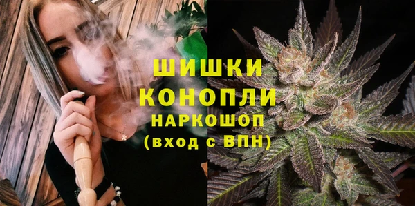 mdpv Елизово