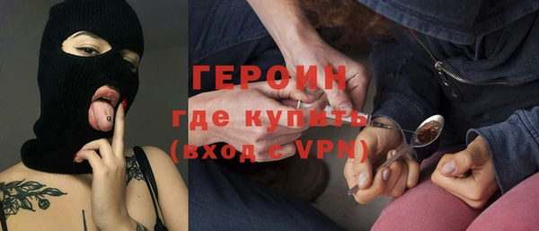 соль ск Ельня