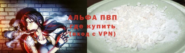 соль ск Ельня