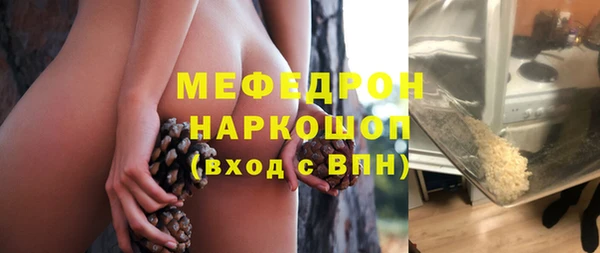 соль ск Ельня