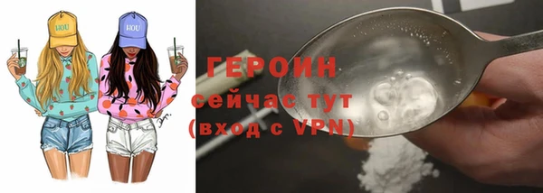 соль ск Ельня