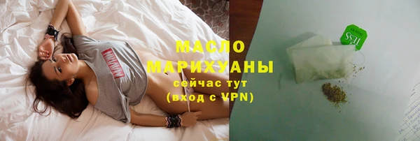 соль ск Ельня