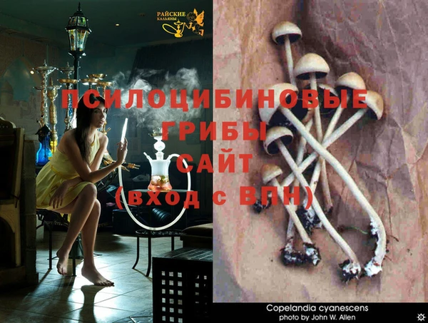 гидропоника Елабуга