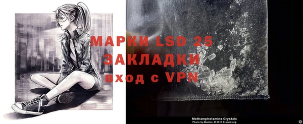 mdpv Елизово