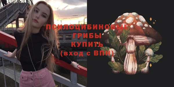 соль ск Ельня