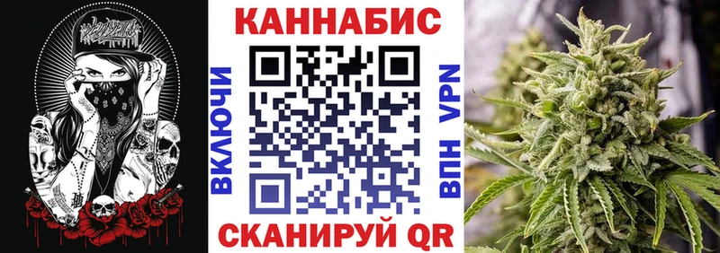 Бошки марихуана Amnesia  Купить  Тогучин 